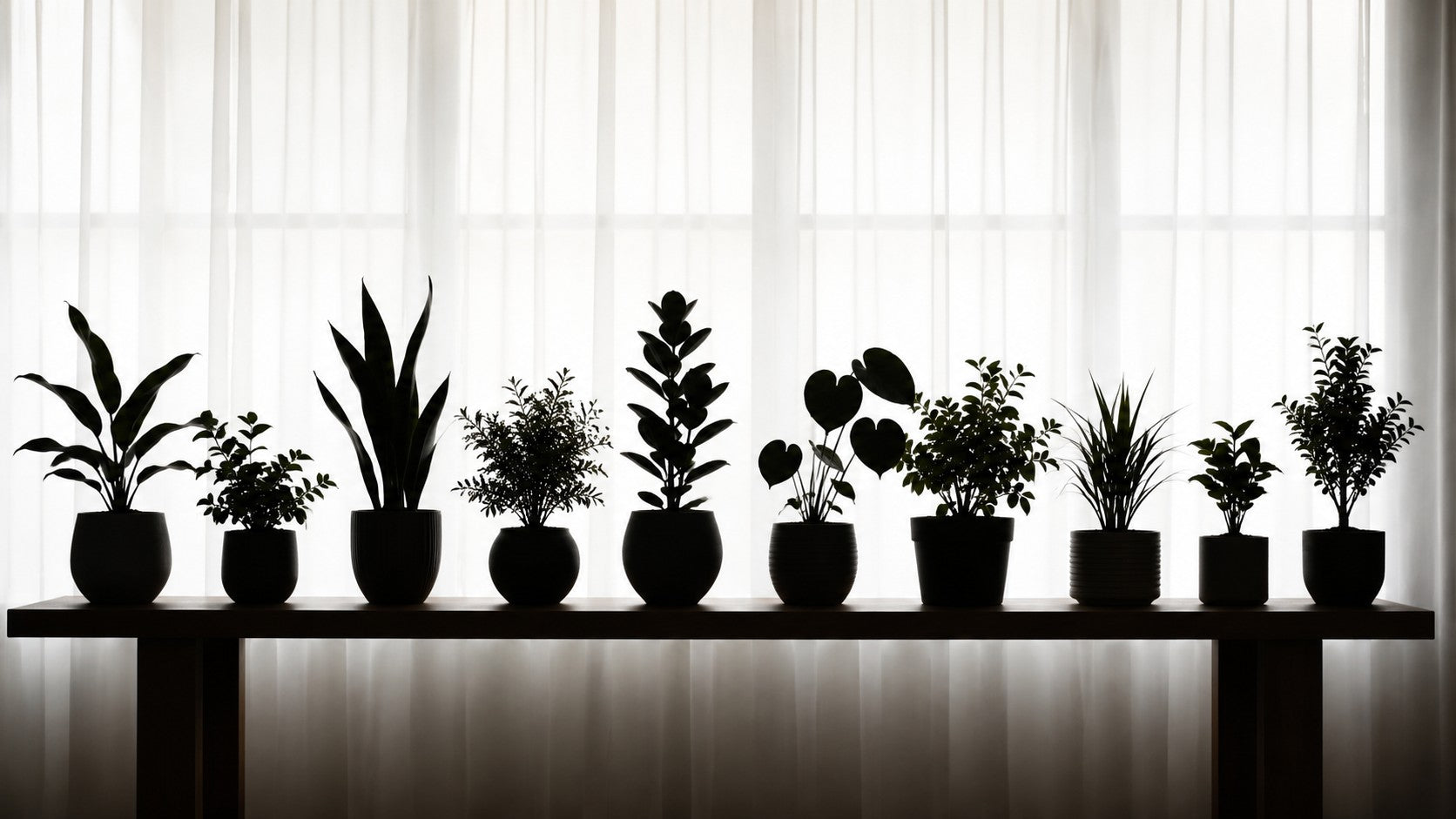 10 populære planter afsløret 5 af dem trives i selvvandingspotter