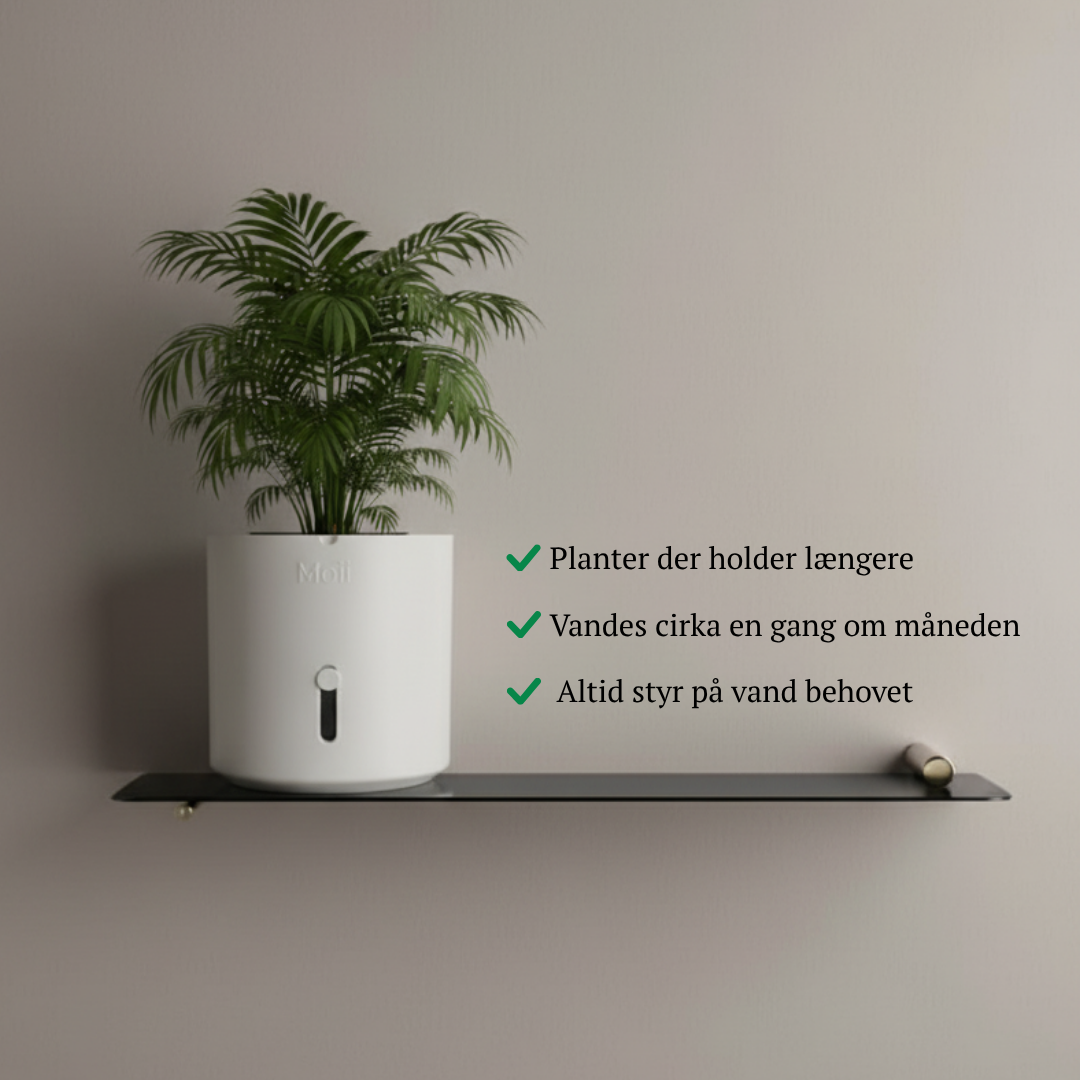 Side Level Planter Medium