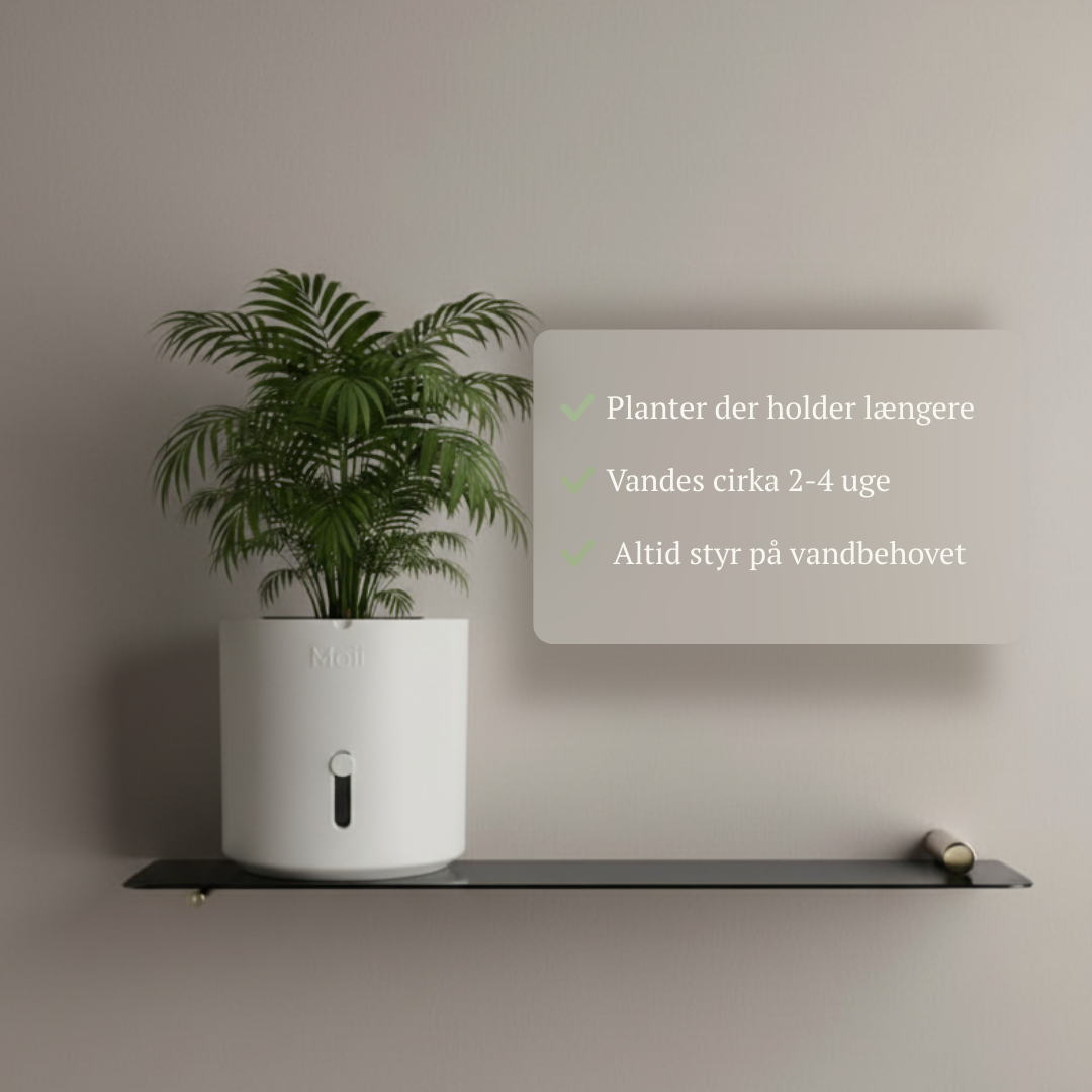 Selvvandingspotte: Side Level Planter