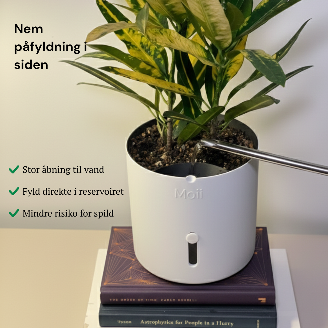 Side Level Planter Medium