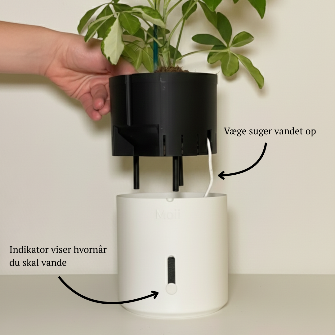 Side Level Planter Medium