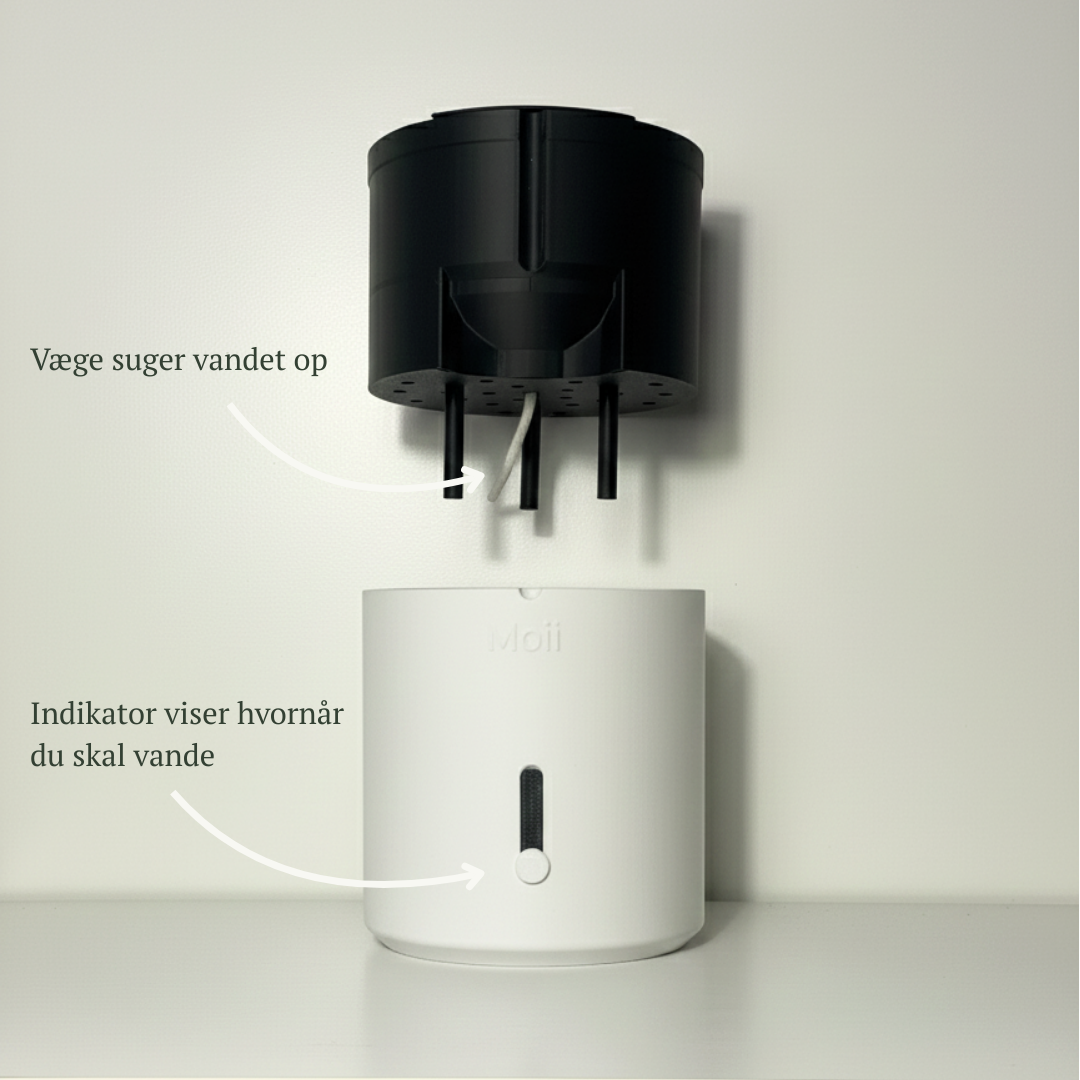 Selvvandingspotte: Side Level Planter