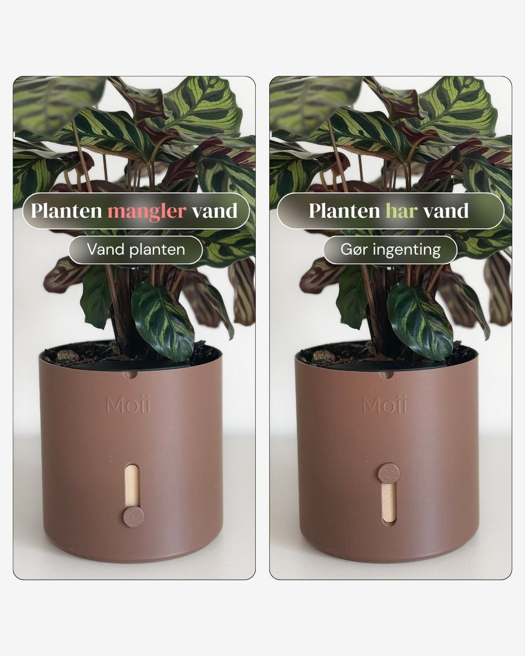 closeup af vandindikator på mørkebrun selvvandingspotte Dark-Brown