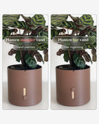 closeup af vandindikator på mørkebrun selvvandingspotte Dark-Brown