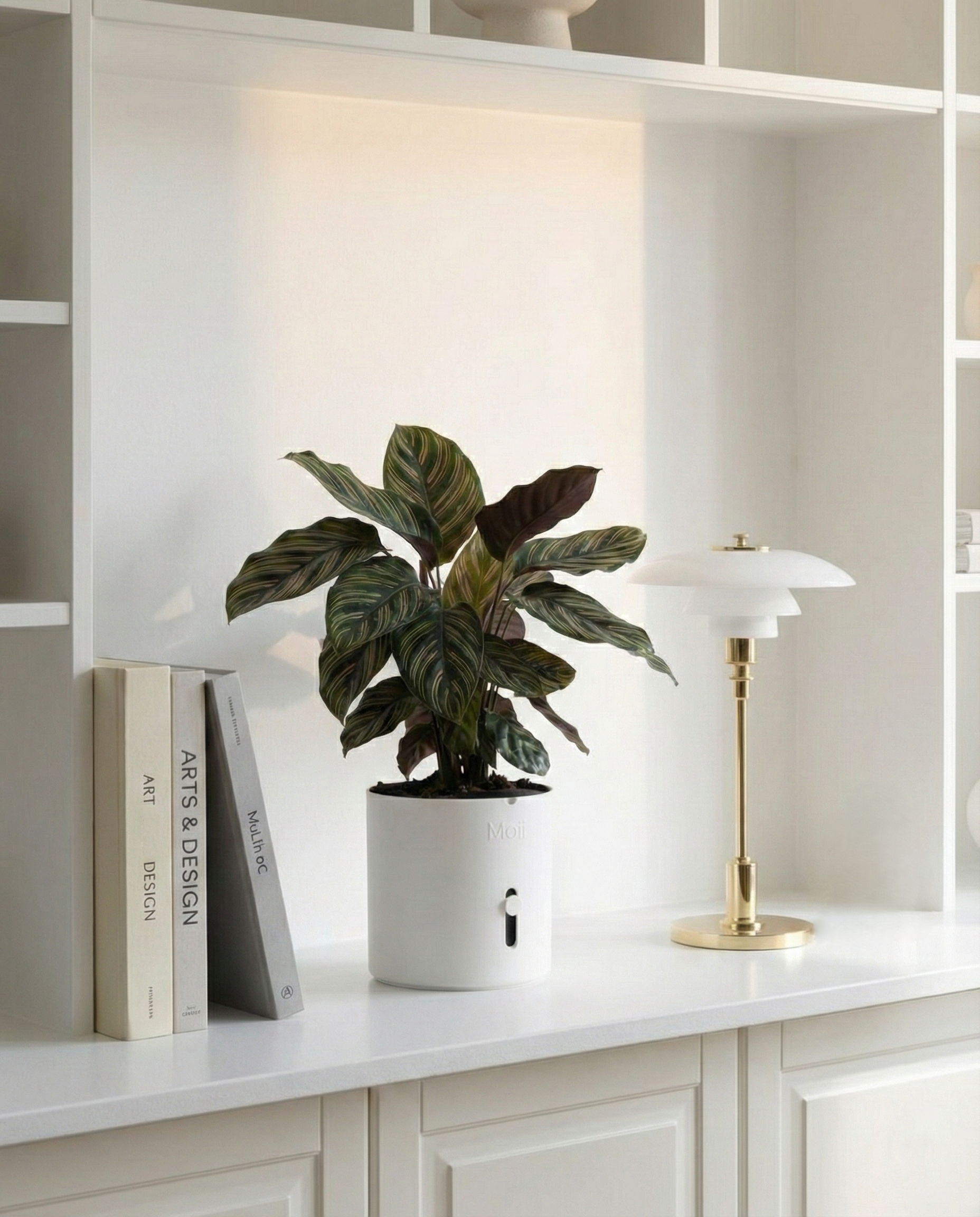 Self Watering Pot: Side Level Planter