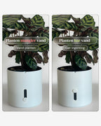 Hvid selvvandingspotte hvordan den virker White