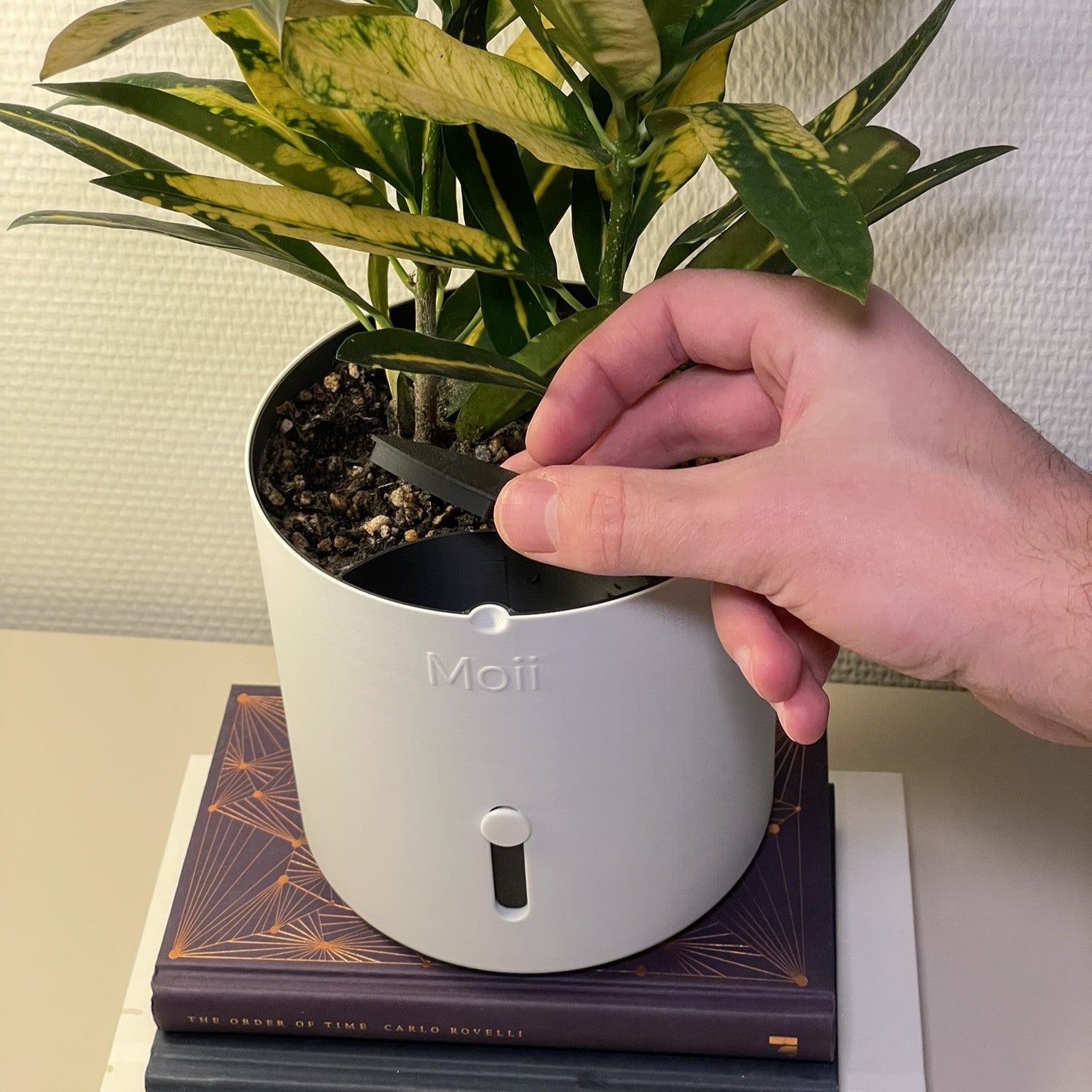 Selvvandingspotte: Side Level Planter