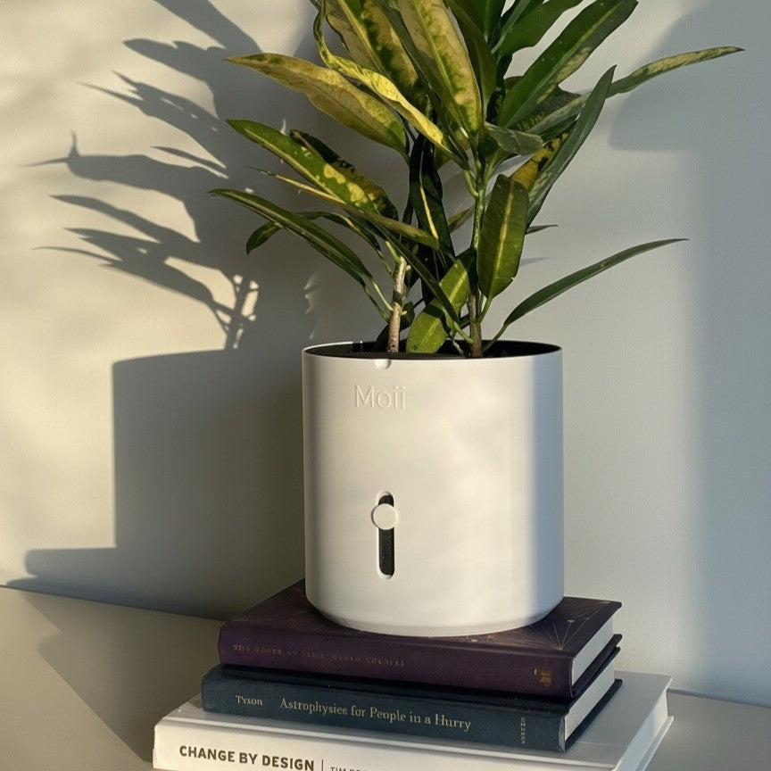 Side Level Planter Medium