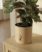 latte-brown selvvandingspotte med stueplante