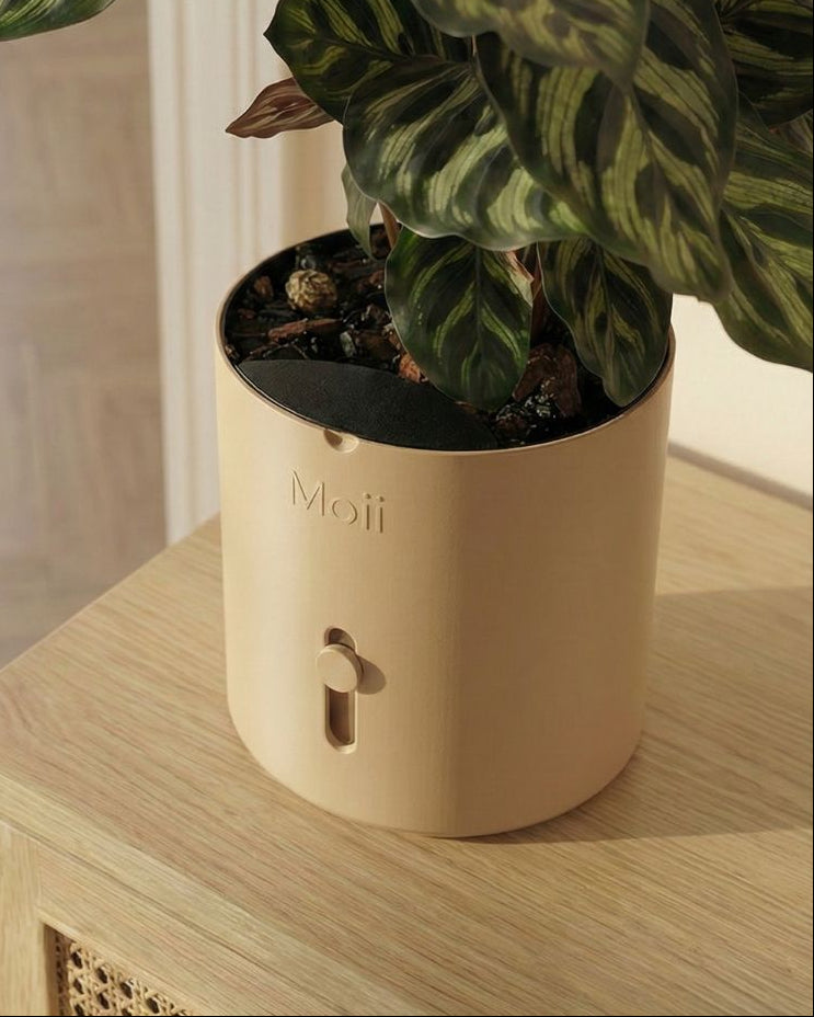 selvvandingspotte i latte-brown med synlig indikator