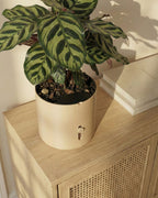 selvvandingspotte i latte-brown med synlig indikator