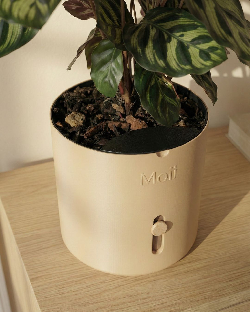 closeup af vandindikator på moii potte i latte-brown