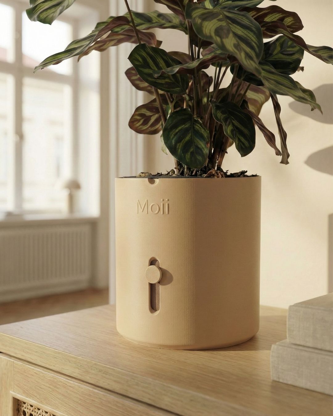 latte-brown selvvandingspotte med stueplante