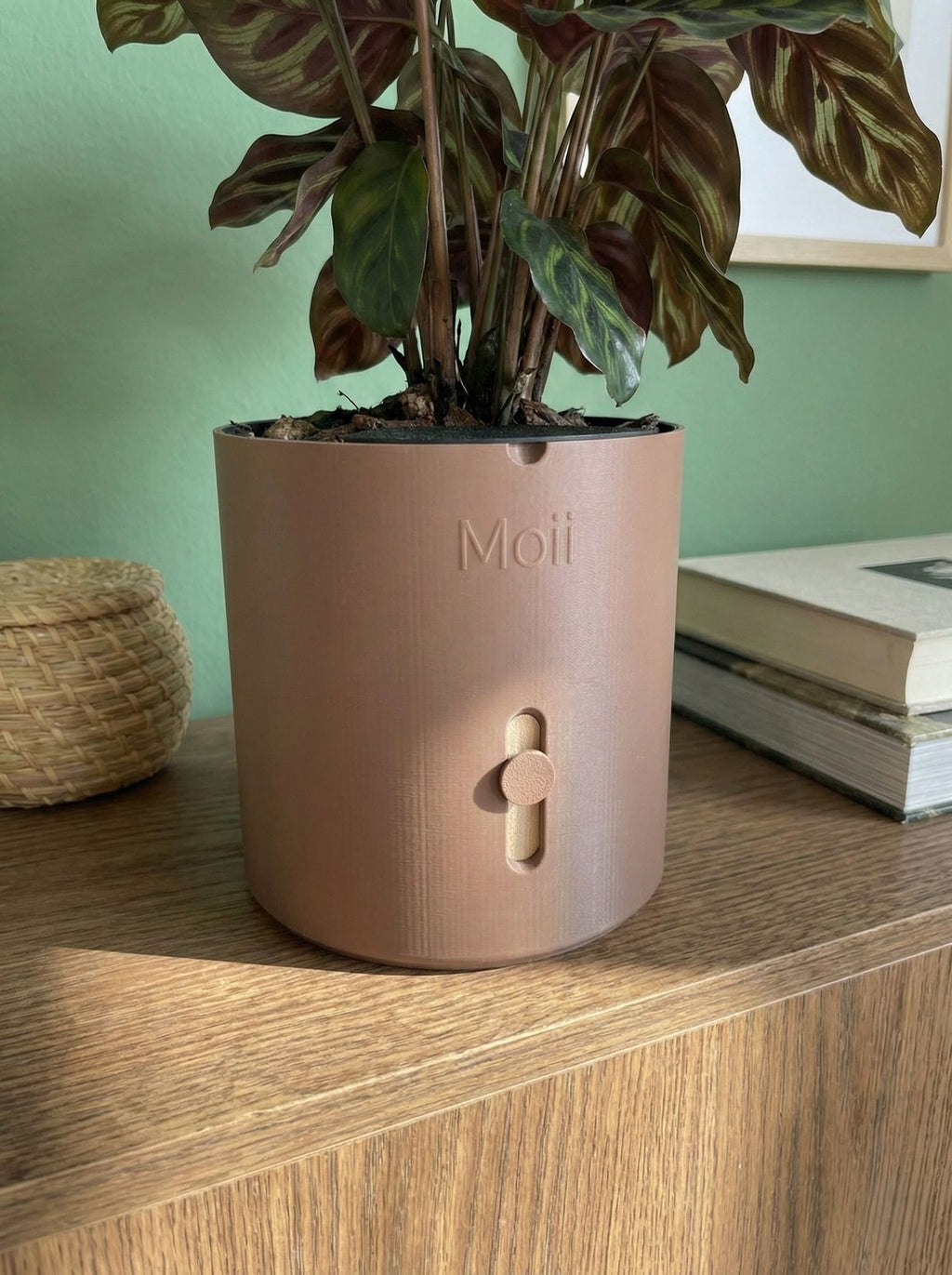 moii selvvandingspotte mørkebrun Dark-brown