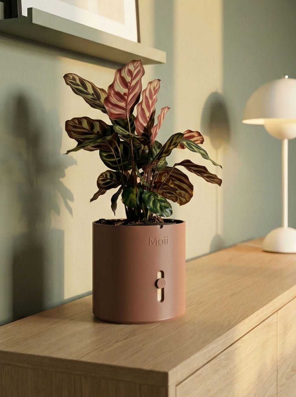 vandindikator på selvvandingspotte viser vandniveau Dark brown Moii Copenhagen