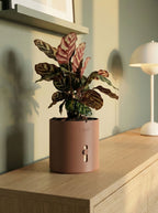 vandindikator på selvvandingspotte viser vandniveau Dark brown Moii Copenhagen