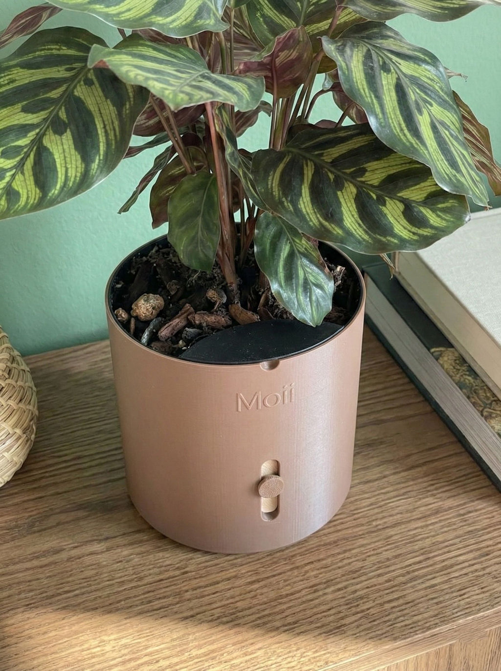 moii selvvandingspotte mørkebrun Dark-brown