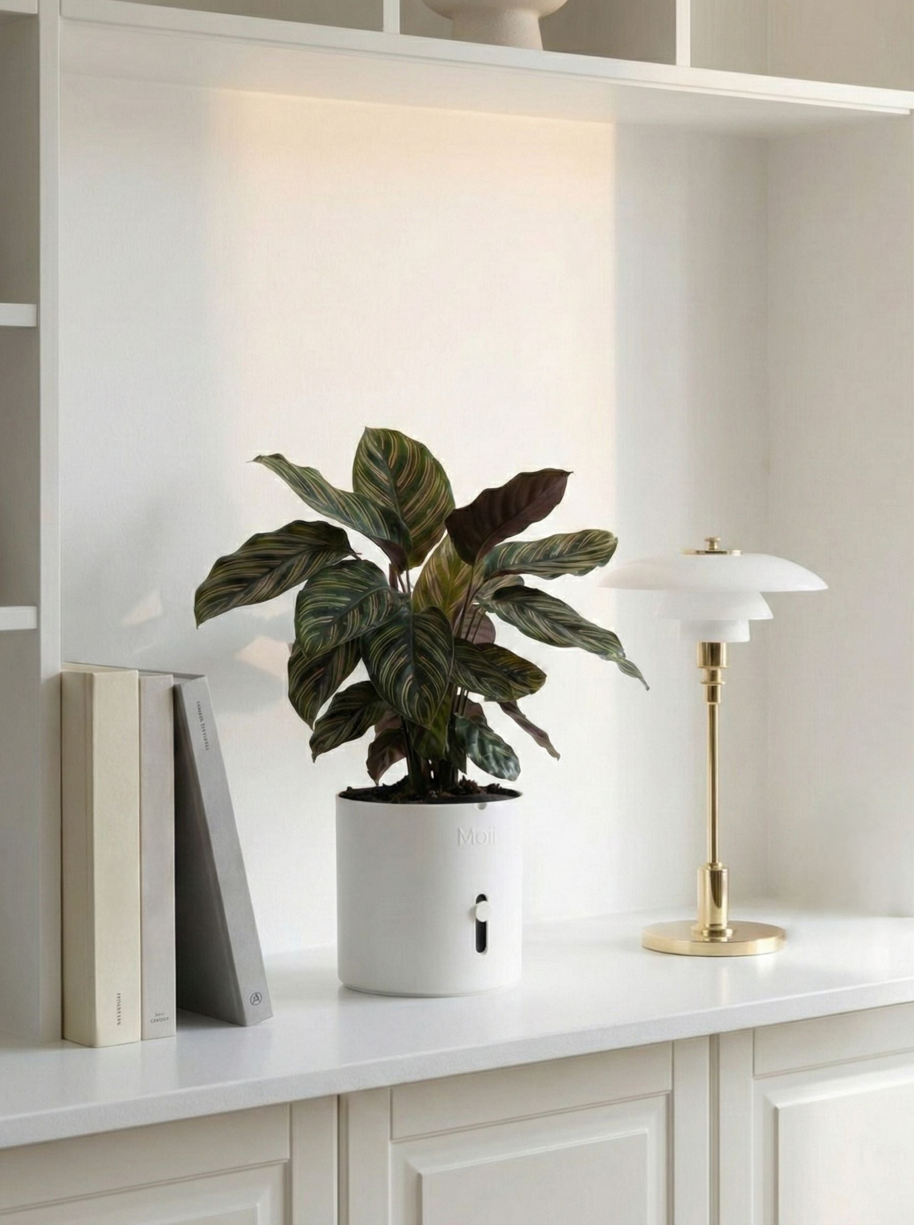 vandindikator på selvvandingspotte viser vandniveau white