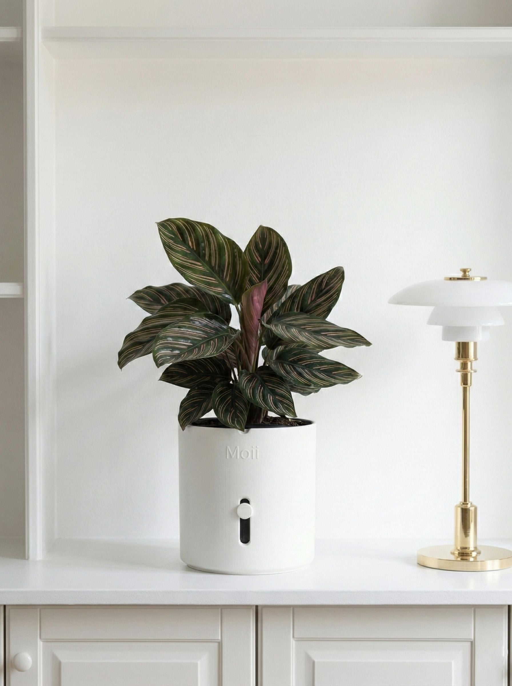 closeup af vandindikator på hvid selvvandingspotte white