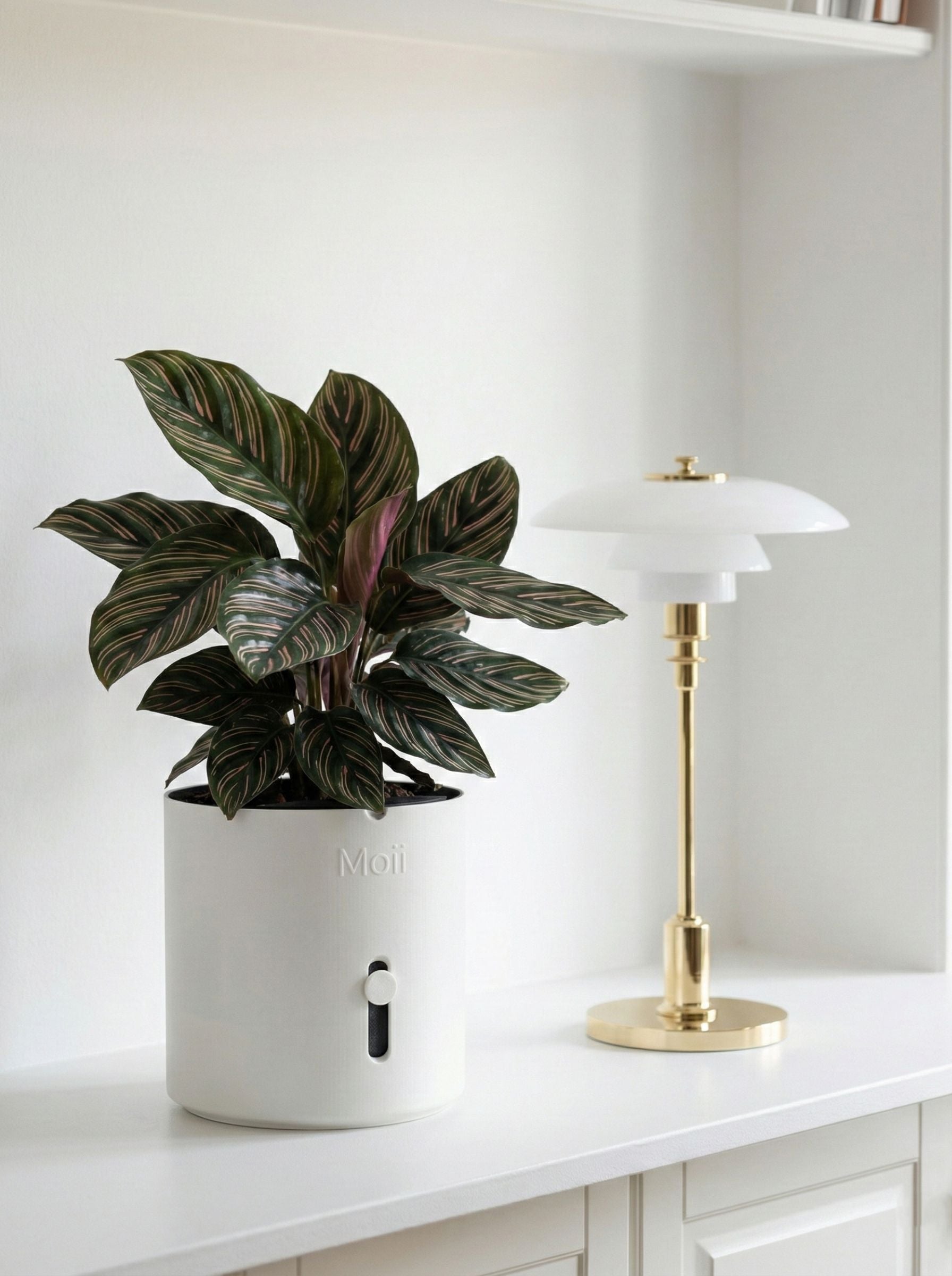 hvid selvvandingspotte i dansk design til stueplanter white