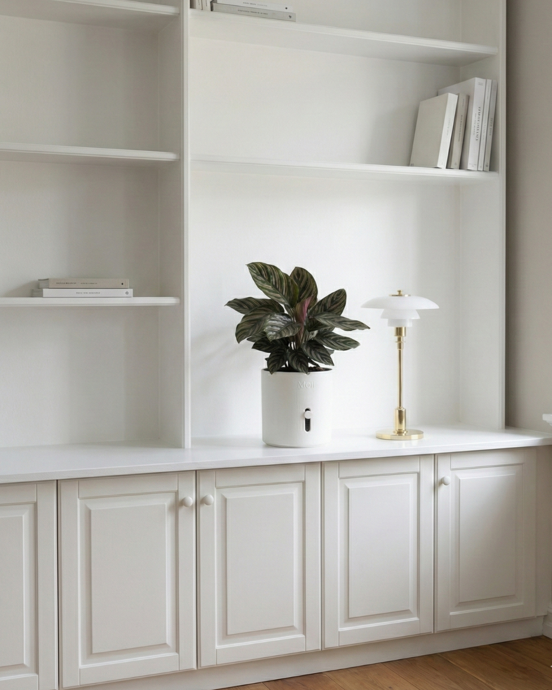 Selvvandingspotte: Side Level Planter