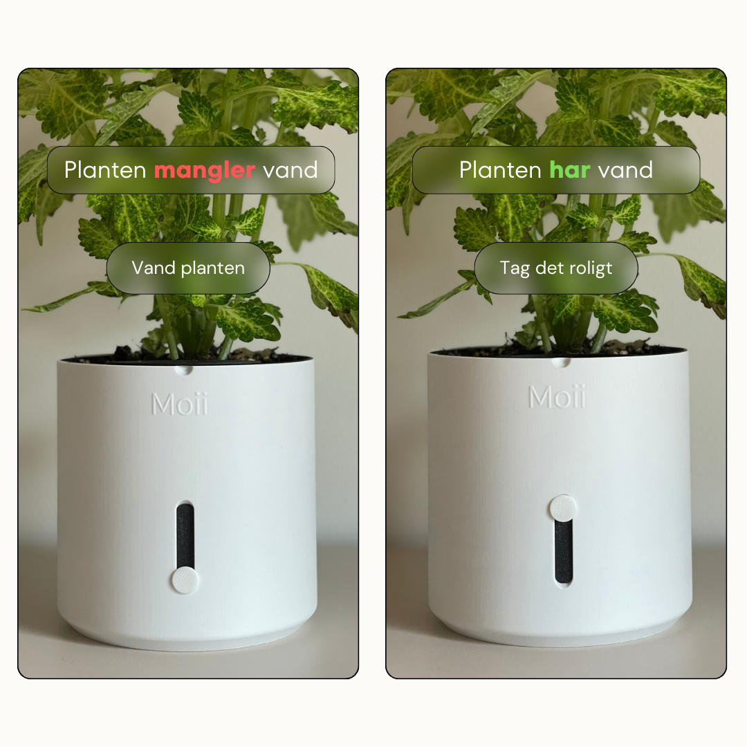 Selvvandingspotte: Side Level Planter