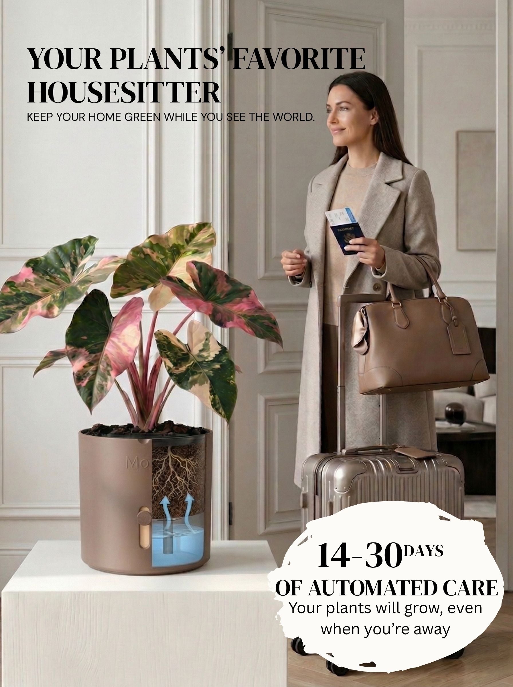 dark brown selvvandingspotter ude at rejse