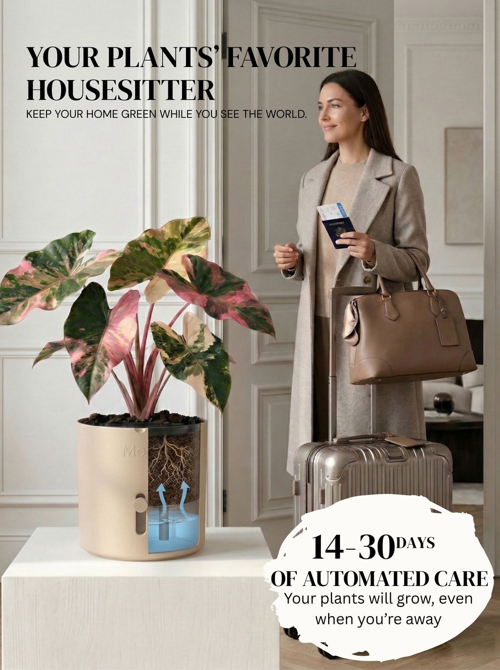 Latte brown selvvandingspotter ude at rejse