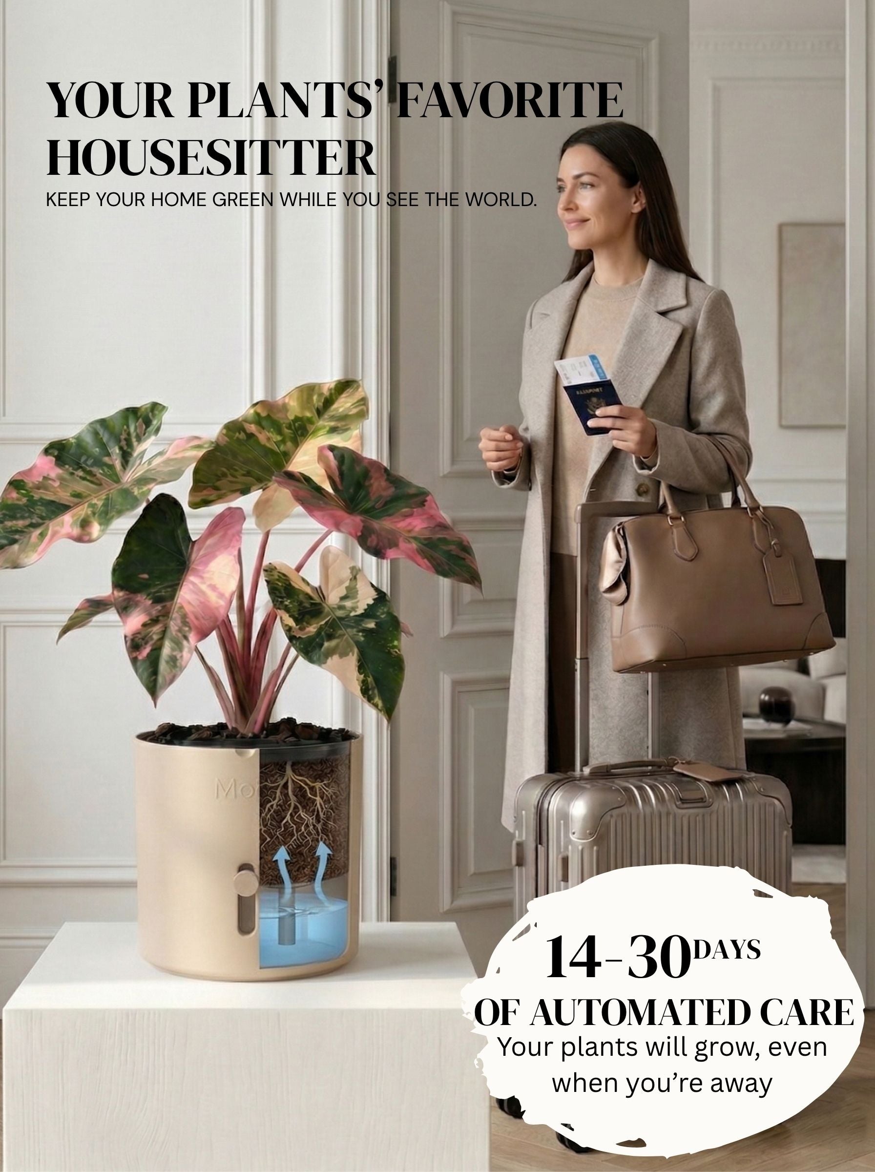 Latte brown selvvandingspotter ude at rejse