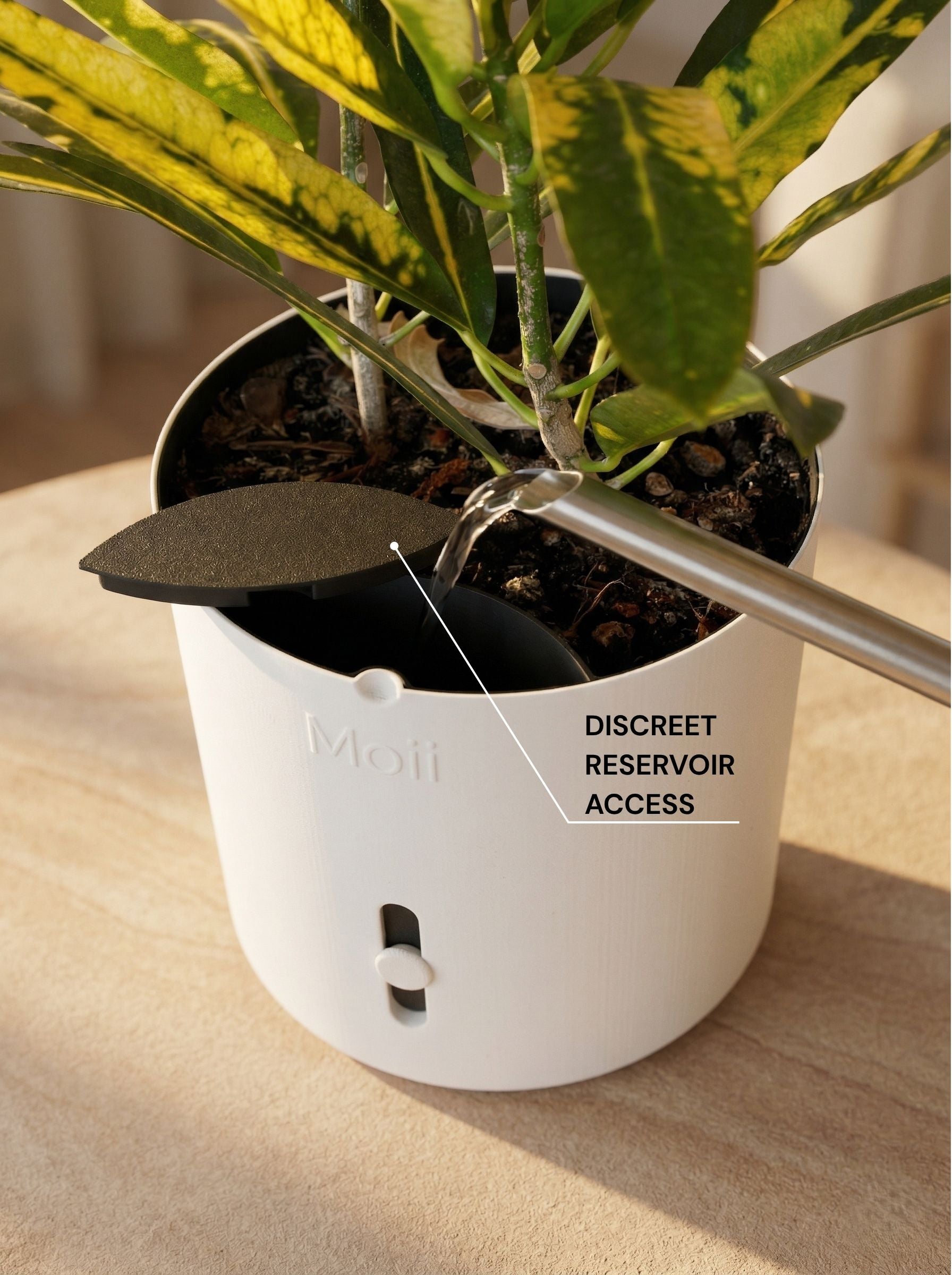 White selvvandingspotte vandet fra top