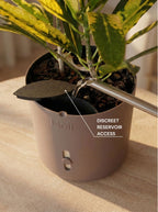 Dark brown selvvandingspotte vandet fra top