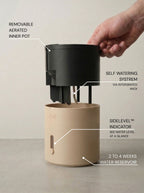 Latte brown selvvandingspotte løftet op