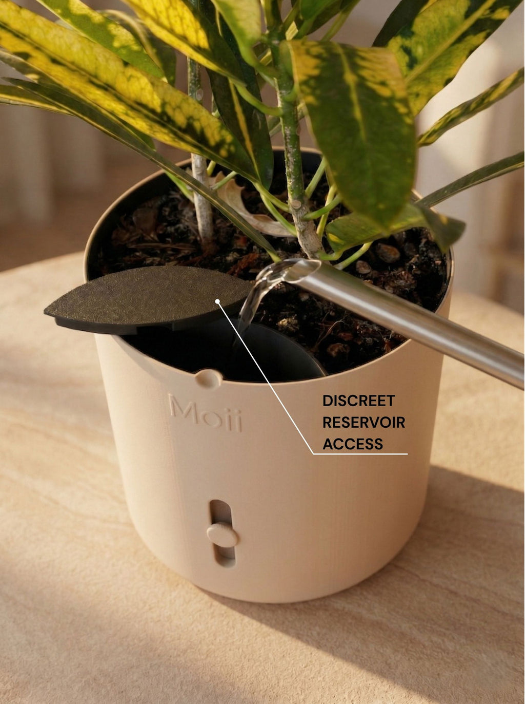 Latte brown selvvanding fra top