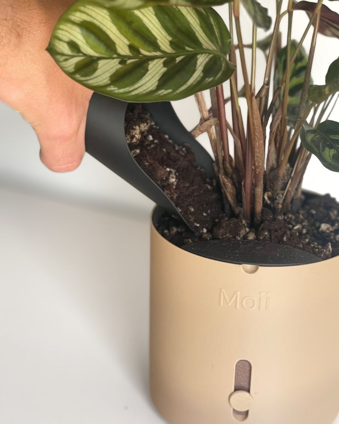 Planteskovl til jord og omplantning